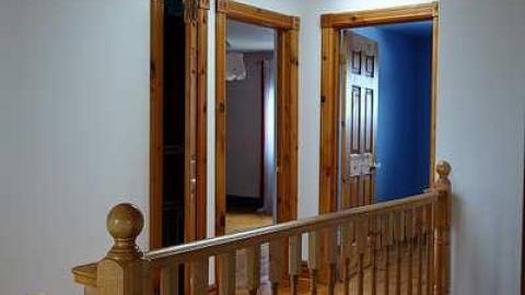 Udder Madness '17 - DSC07932.jpg