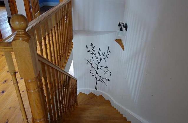 Untapped Potential photo 5