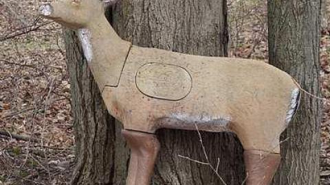 Udder Madness '17 - DSC07967.jpg