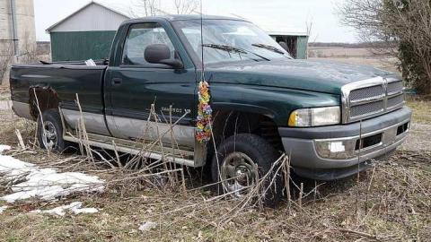 Udder Madness '17 - DSC07980.jpg