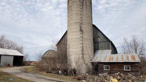 Udder Madness '17 - DSC07993.jpg
