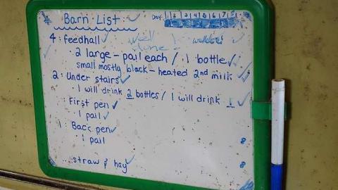 Udder Madness '17 - DSC08030.jpg