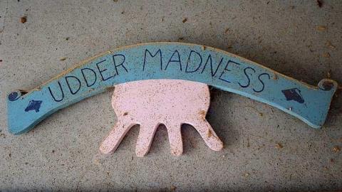 Udder Madness '17 - DSC08055.jpg