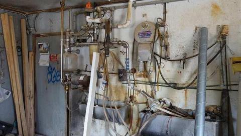 Udder Madness '17 - DSC08068.jpg