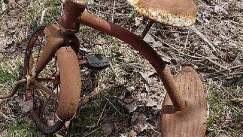 Udder Madness '17 - DSC08076.jpg