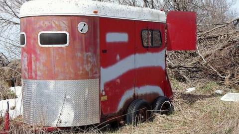 Udder Madness '17 - DSC08097.jpg