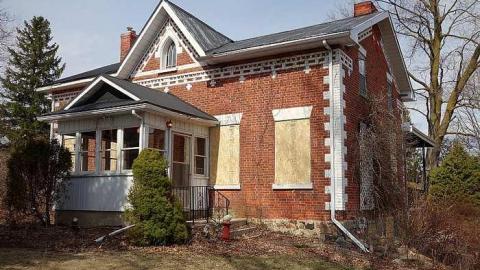 Udder Madness '17 - DSC08115.jpg