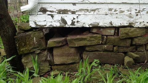 May 6th 2017 - DSC02148.jpg