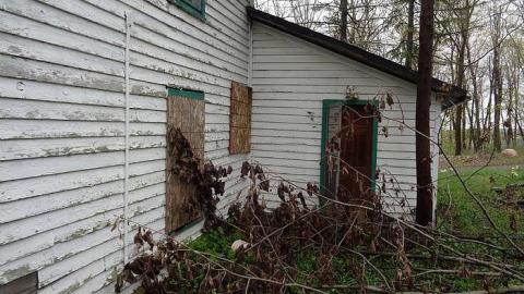 May 6th 2017 - DSC02149.jpg