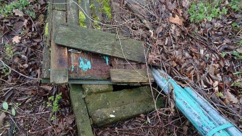 May 6th 2017 - DSC02152.jpg