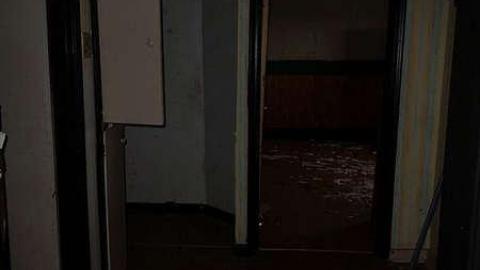 May 6th 2017 - DSC02157.jpg