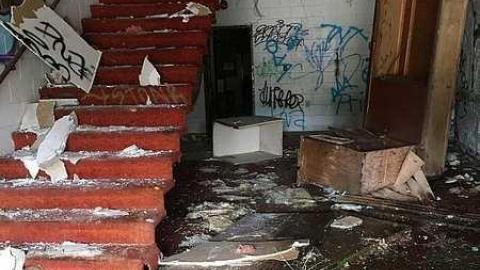 05/01/2017 - IMG_3976.jpg