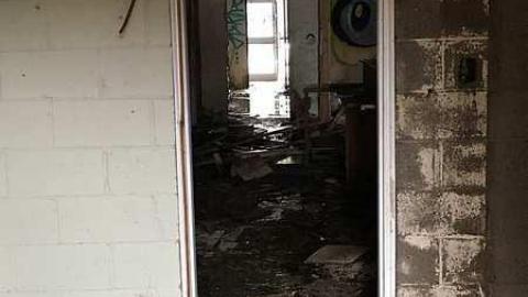 05/01/2017 - IMG_4017.jpg