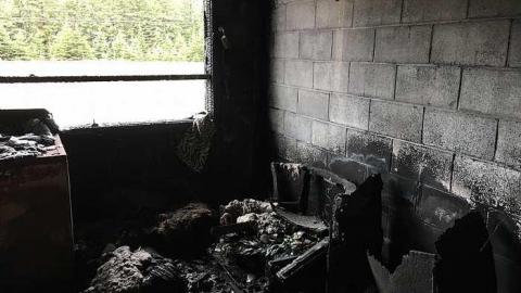 05/01/2017 - IMG_4110.jpg