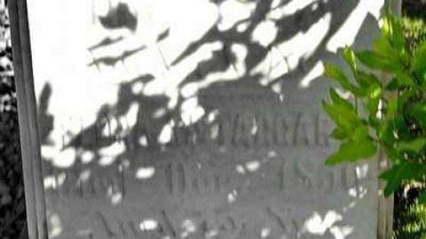 An Avoidable Death  - McTaggart-Pioneer-Cemetery14.jpg