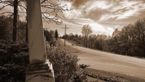 An Avoidable Death  - McTaggart-Pioneer-Cemetery1.jpg