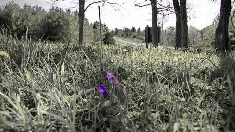 Photo from An Avoidable Death 