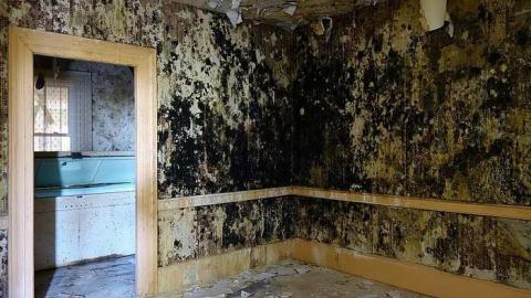 Photo from Soldy Moldy '17