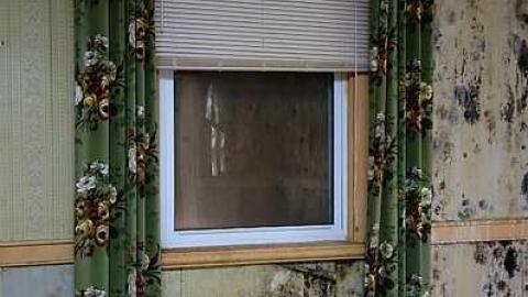 Soldy Moldy '17 - DSC09290.jpg