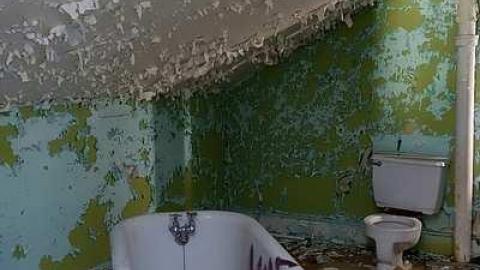 Soldy Moldy '17 - DSC09323.jpg