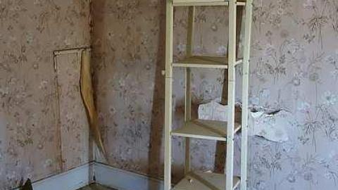 Soldy Moldy '17 - DSC09340.jpg