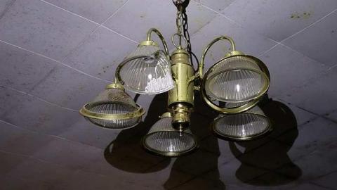 Soldy Moldy '17 - DSC09361.jpg