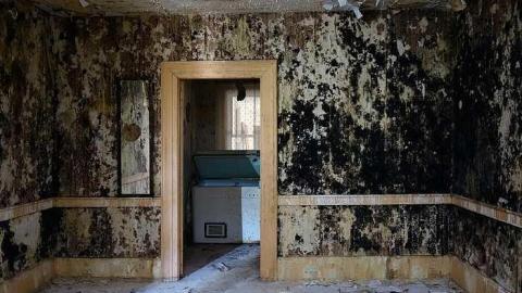 Soldy Moldy '17 - DSC09380.jpg