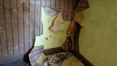 Soldy Moldy '17 - DSC09393.jpg