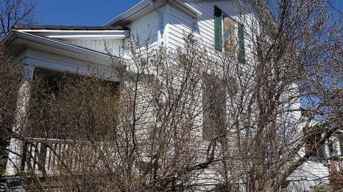 Soldy Moldy '17 - DSC09399.jpg