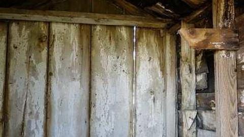 Soldy Moldy '17 - DSC09413.jpg