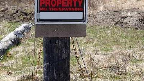 Soldy Moldy '17 - DSC09424.jpg