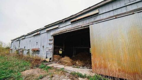 Photo from Grey Day!