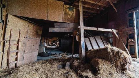 Photo from Grey Day!