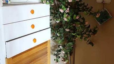 Greatest Dad Alive '17 - Someones-been-living-here77.jpg