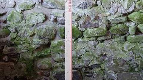 Greatest Dad Alive '17 - Someones-been-living-here144.jpg