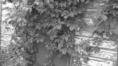 brick school house - Holland-Landing-Brick3.jpg