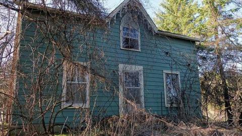 Dora Survived '17 - DSC09560.jpg