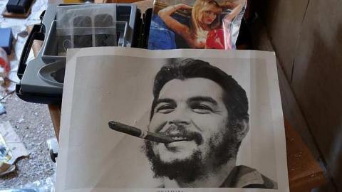 Dora Survived '17 - DSC09582.jpg