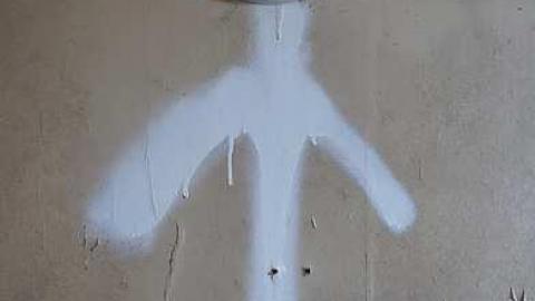 Dora Survived '17 - DSC09586.jpg