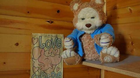 Dora Survived '17 - DSC09591.jpg