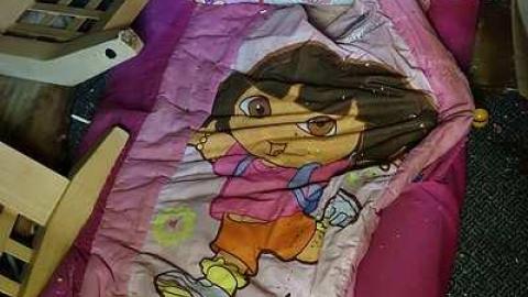 Dora Survived '17 - DSC09603.jpg