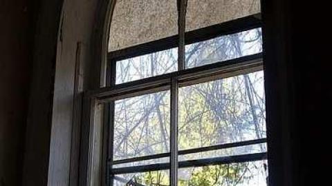 Dora Survived '17 - DSC09606.jpg