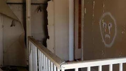 Dora Survived '17 - DSC09608.jpg