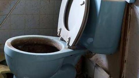 Dora Survived '17 - DSC09624.jpg