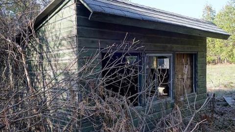 Dora Survived '17 - DSC09626.jpg