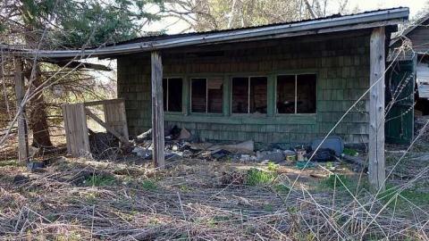 Photo from Dora Survived '17