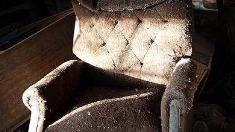 Dora Survived '17 - DSC09640.jpg