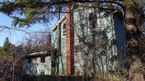 Dora Survived '17 - DSC09643.jpg