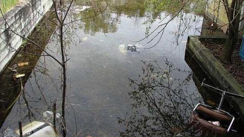 This & That - 30.jpg