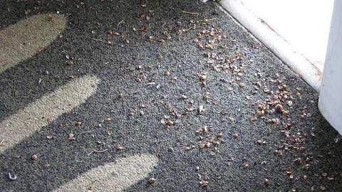 Short Division - 11.jpg